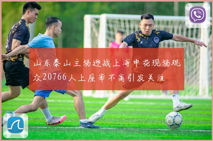 山东泰山主场迎战上海申花现场观众20766人上座率不高引发关注
