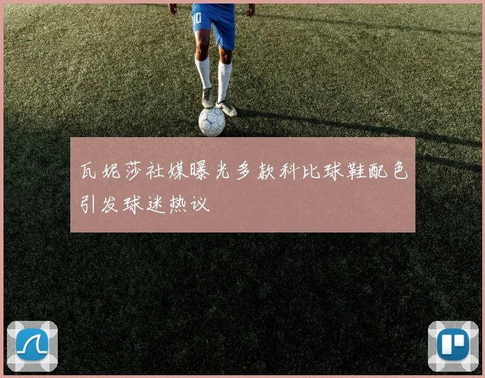 瓦妮莎社媒曝光多款科比球鞋配色引发球迷热议
